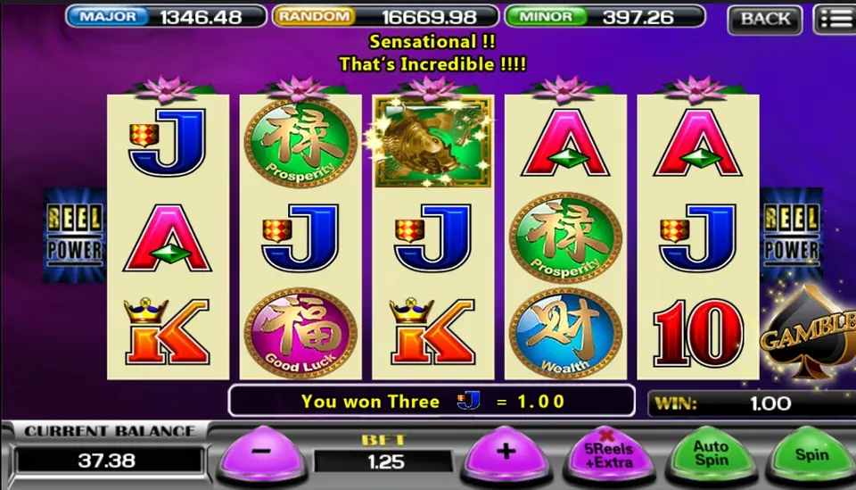 5 Koi paying 'You won Three J = 1.00' with the gold koi sparkling on reel 3, medallions on reels 2 and 4, and the GAMBLE spade on the right