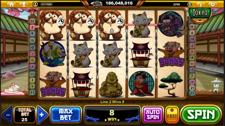 Three tanuki with sake bottles across the top row on reels 1 to 3, Line 2 Wins 8, lucky cats and a BONUS pig on reels 1 and 5