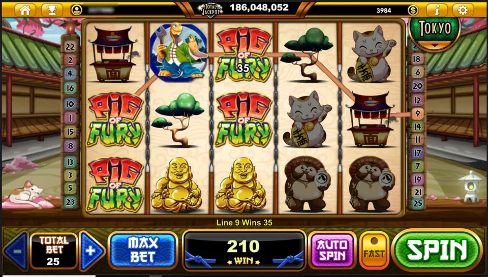Pig of Fury on Live22: PIG OF FURY logo tiles on reels 1 and 3, a turtle with a spanner, bonsai trees, gold laughing Buddhas, lucky cats, noodle stalls and tanuki, with Line 9 Wins 35 and a total win of 210 at TOTAL BET 25