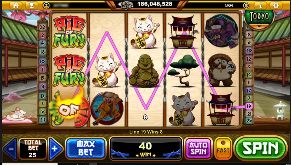 A burning PIG OF FURY logo on reel 1 and a zigzag pink line through lucky cats and a Buddha, Line 19 Wins 8, total 40