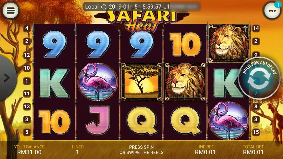 Two framed lions on reels 4 and 5 and an acacia tree against the setting sun on reel 3, with flamingos on reels 2 and 5